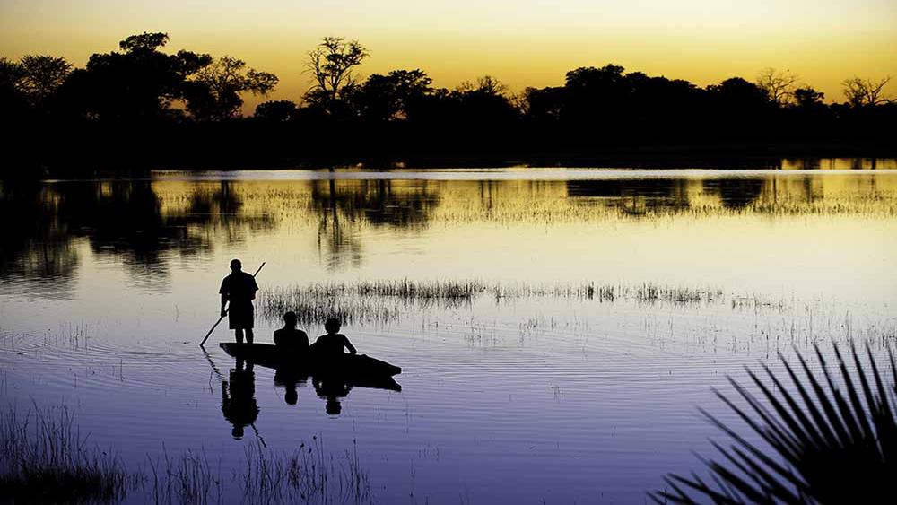 botswana okavango delta luxury safari