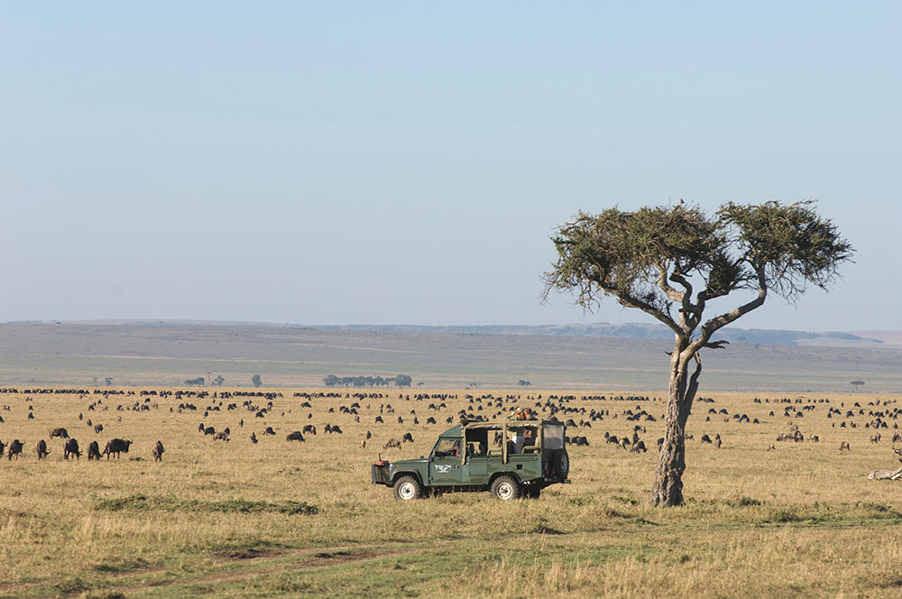 Masai Mara National Reserve