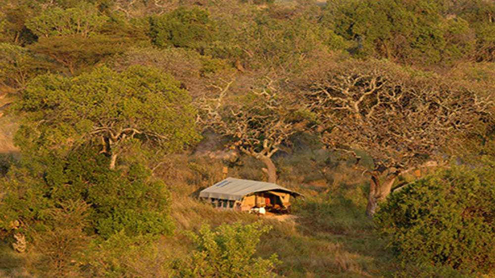 serengeti safari camp wetu