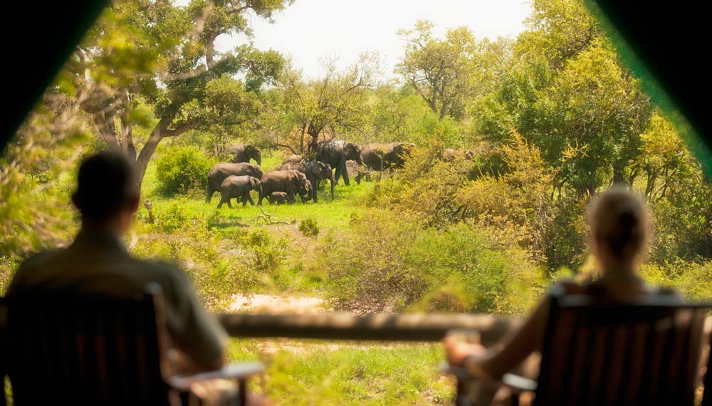 Tanda Tula Safari 