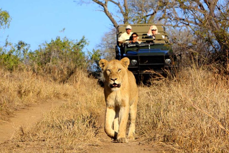 Luxury African Safari Blog | Safari News
