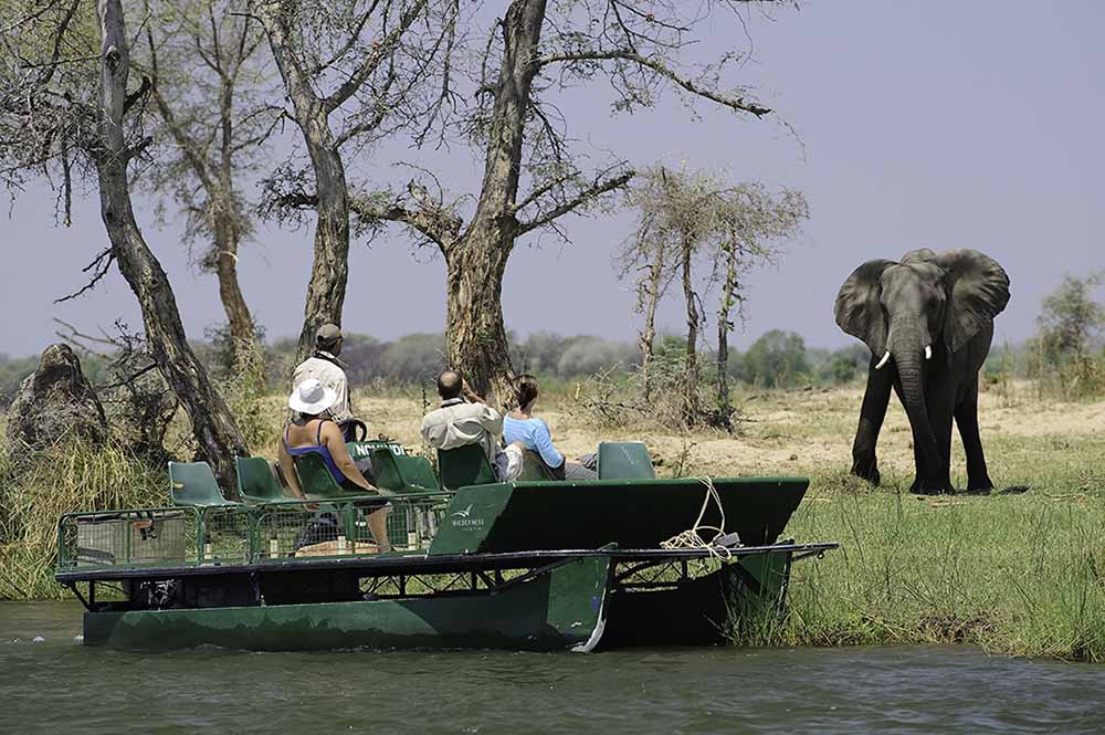 Mana Pools Safari 