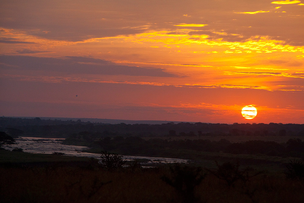 Serengeti Safari