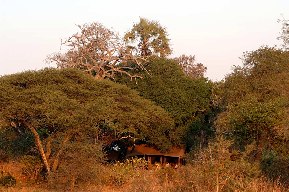 Chada Katavi Camp