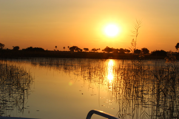 Okavango Delta Sunset