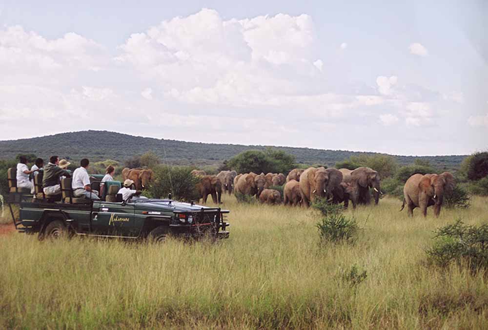 Madikwe Game Reserve