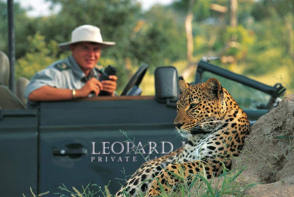 Leopard Hills Safari