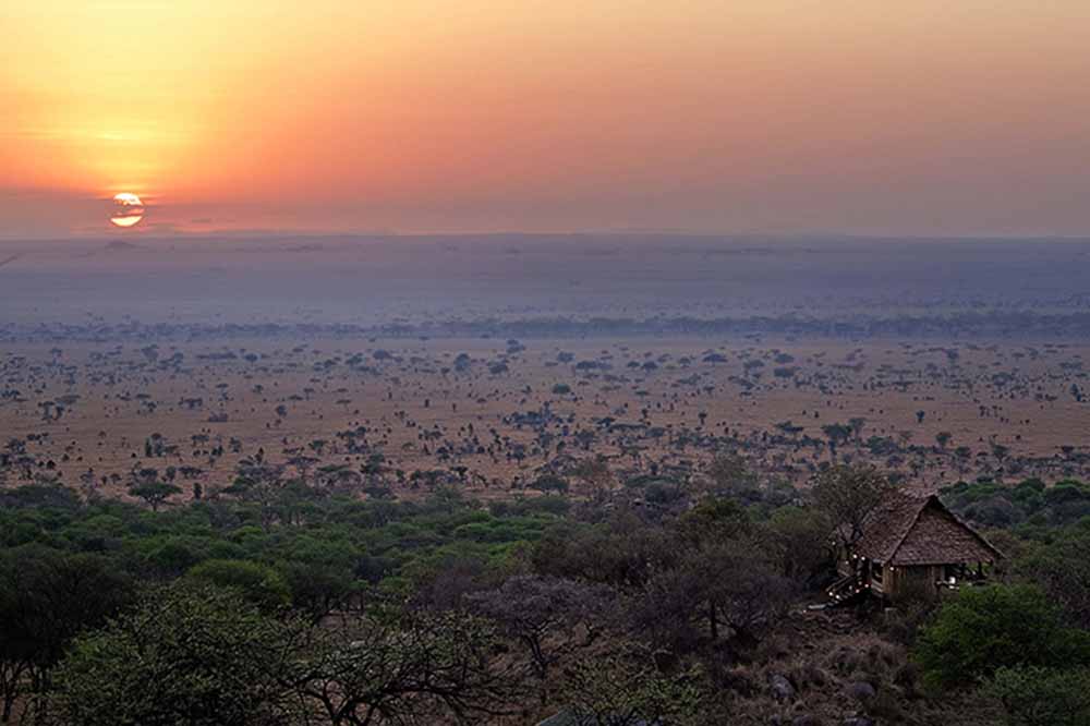 Serengeti Landscape